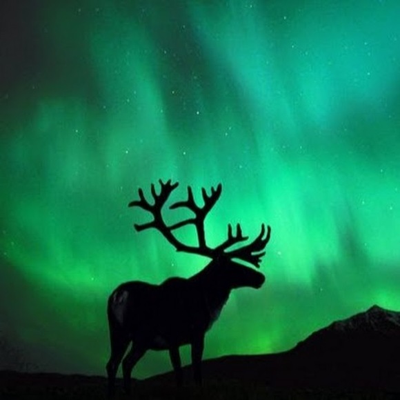 Meet your Posher, Pendleton - Picture 1 of 1